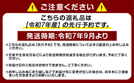はるさん専用　令和7年乾燥わらび10キロ Amazon.co.jp: 臼井農畜産(生産量日本一!) わら縄 2.5分 : DIY