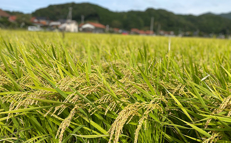 はるさん専用　令和7年乾燥わらび10キロ 令和7年 無農薬乾燥わらび 1キロ （はるさん専用 令和7年乾燥