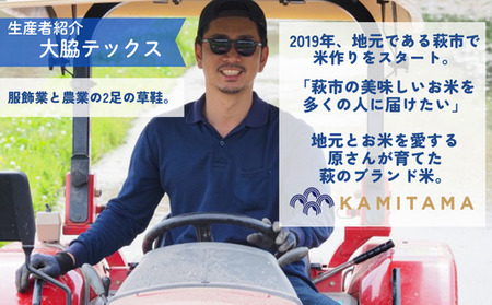 きぬむすめ 令和7年 5kg 米 コメ こめ 萩産 KAMITAMA｜HG000389