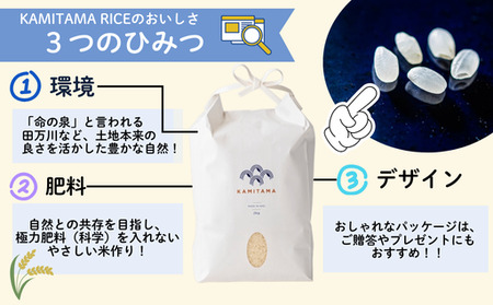 定期便 3か月 コシヒカリ 令和7年 5kg 米 コメ こめ 萩産 KAMITAMA｜HG0T0586