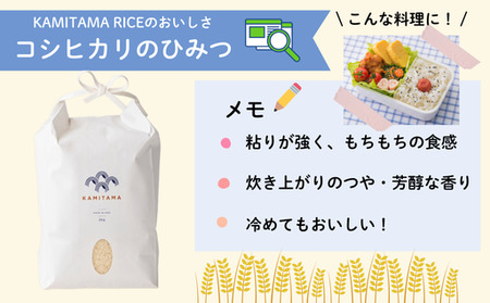定期便 3か月 コシヒカリ 令和7年 5kg 米 コメ こめ 萩産 KAMITAMA｜HG0T0586