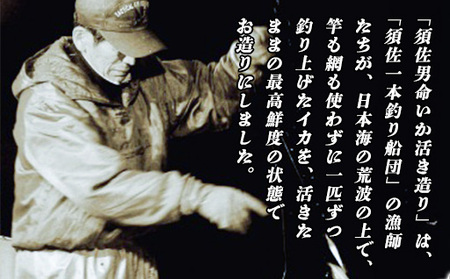 自宅で透明感を再現!須佐男命いかの姿造り(刺身)特殊冷却「3D冷凍」パック 1個|HG000427