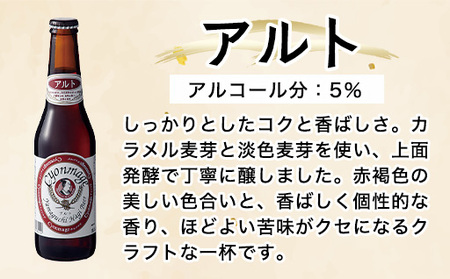 萩の地ビールを堪能!/チョンマゲビール定期便 12本セット 隔月発送・3回コース|HG0437-D