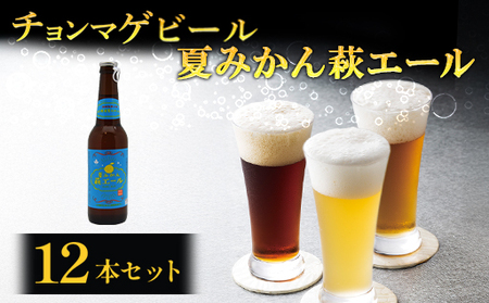 城下町・萩の地ビール／夏みかん萩エール12本セット｜HG0005-B