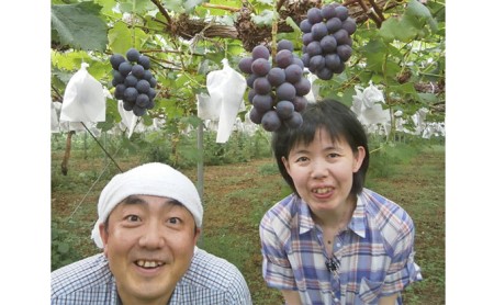 紫福産ピオーネのワイン＆萩むつみ豚のジャーキーのセット