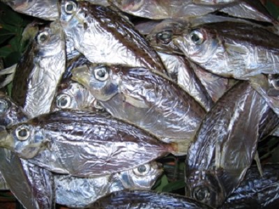 懐かしい萩の味 金太郎 平太郎 うるめいわし 小魚3点おつまみセット 山口県萩市 ふるさと納税サイト ふるなび