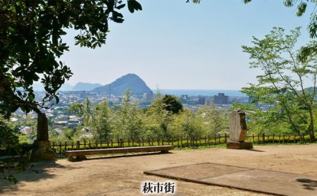 ぶらり萩 明治維新コース 観光タクシープラン利用券 山口県萩市 ふるさと納税サイト ふるなび