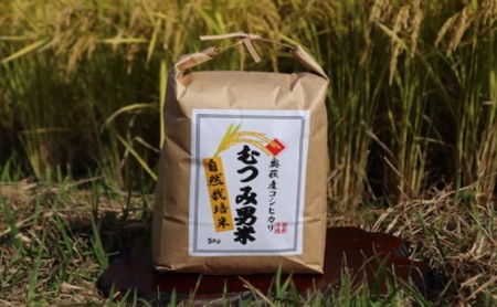 自然栽培 むつみ男米 玄米 5kg