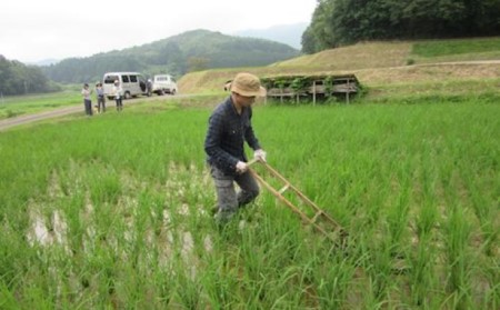 自然栽培 むつみ男米 玄米 5kg