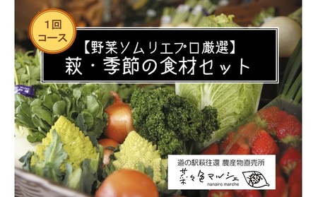 【野菜ソムリエプロ厳選】萩・季節の食材セット【定期便お試し1回コース】