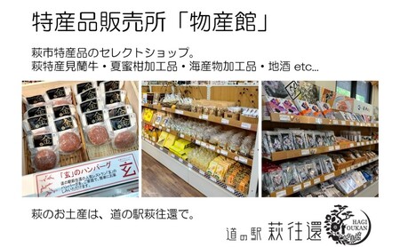 【萩名産】夏蜜柑ジュース（4～5倍濃縮・3本セット）