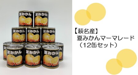 【萩名産】夏みかんマーマレード缶（12個セット）