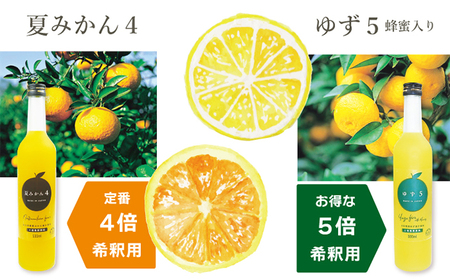  柑橘 濃厚希釈 ジュース もっちり 柑橘ゼリー セット 山口県産 果物 フルーツ ギフト