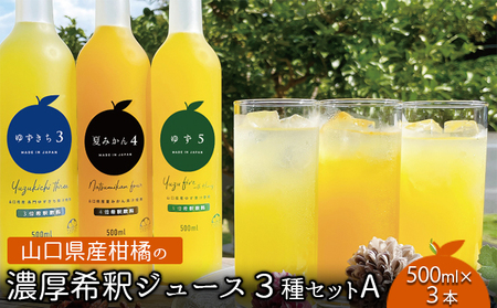 柑橘 ジュース 濃厚希釈 山口県産 3種セットA 500ml×3本 セット ギフト