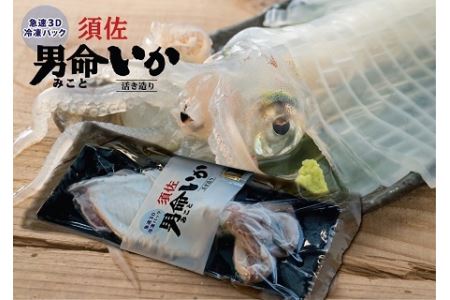 自宅で透明感を再現! 須佐男命いかの姿造り(刺身)特殊冷却「3D冷凍」パック 2個セット