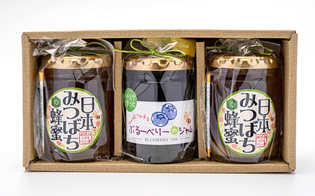 日本みつばちの「ハチミツ」【非加熱】とハチミツのみで加糖したブルーベリージャムのセット【1452017】