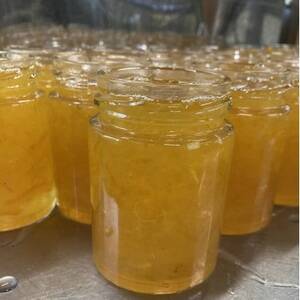 長門ゆずきちマーマレード_惣菜・加工品 ジャム 缶詰・瓶詰 _【1619376】