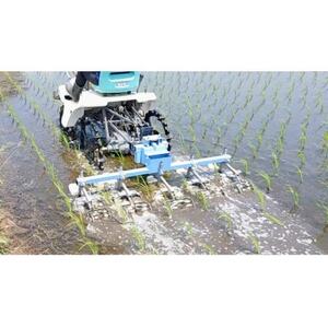 栽培期間中農薬・肥料不使用で作った朝日米 玄米5kg【1669225】