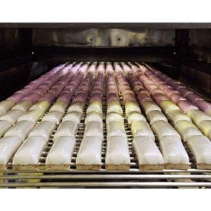 岡虎の竹輪・蒲鉾詰め合わせA-101_竹輪 蒲鉾 ちくわ かまぼこ 練り製品 練り物 おつまみ 国産 セット 詰合せ 食べ比べ 贈答 ギフト 家庭用 魚肉 練製品 おかず 焼 人気 おすすめ 送料無料 専門店_【配送不可地域:離島】【1224290】