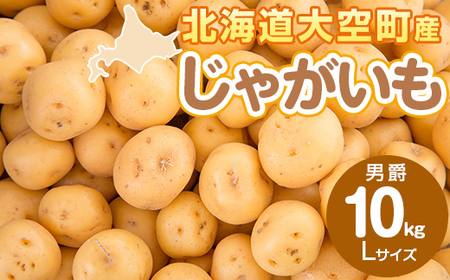 じゃがいも(男爵) Lサイズ 10kg 大空町産 【 ふるさと納税 人気 おすすめ ランキング じゃがいも ジャガイモ いも 芋 男爵 10kg L サイズ カレー 北海道産 野菜 旬 北海道 大空町 送料無料 】 OSR011