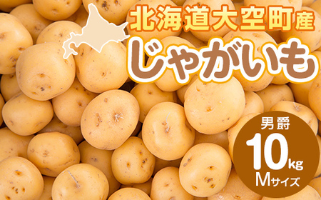 じゃがいも(男爵) Mサイズ 10kg 大空町産 【 ふるさと納税 人気 おすすめ ランキング じゃがいも ジャガイモ いも 芋 男爵 10kg M サイズ カレー 北海道産 野菜 旬 北海道 大空町 送料無料 】 OSR013