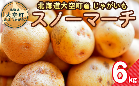 【期間限定】北海道大空町産じゃがいも（スノーマーチ）6kg 【 ふるさと納税 人気 おすすめ ランキング じゃがいも ジャガイモ いも 芋 スノーマーチ カレー 北海道産 野菜 旬 北海道 大空町 送料無料 】 OSA047