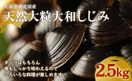 厳選！網走湖産大粒天然大和しじみ2.5kg 【 ふるさと納税 人気 おすすめ ランキング しじみ シジミ 蜆 貝 しじみ貝 シジミ貝 蜆貝 海鮮 ダシ汁 味噌汁 2.5kg 新鮮 冷凍 料理 網走湖 北海道 大空町 送料無料 】 OSA011