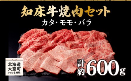 知床牛焼肉セット計約600g（カタ・モモ・バラ） 【 ふるさと納税 人気 おすすめ ランキング 牛肉 牛 肉 焼肉 国産 北海道 大空町 送料無料 】 OSG005