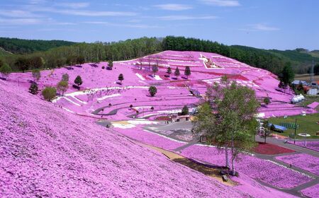 【北海道大空町】旅行割引クーポン券45,000円分 OST004 | 旅行 クーポン