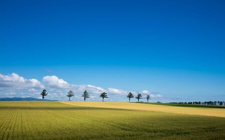 【北海道大空町】旅行割引クーポン券60,000円分 OST005 | 旅行 クーポン