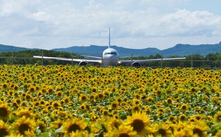 【北海道大空町】旅行割引クーポン券60,000円分 OST005 | 旅行 クーポン