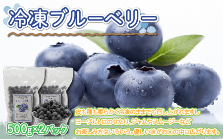 冷凍ブルーベリー500ｇ×2パック 【 ふるさと納税 人気 おすすめ ランキング ブルーベリー 果実 果物 フルーツ ヨーグルト ジャム スムージー 冷凍 北海道 大空町 送料無料 】 OSO006