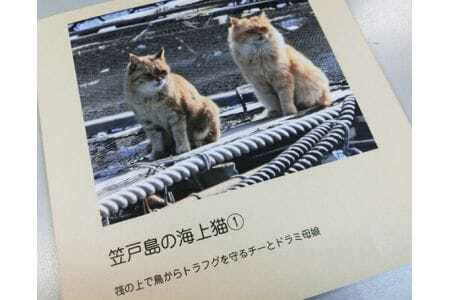 笠戸ひらめ ／ 魚 ヒラメ 鮃 山口県 特産品 No.003