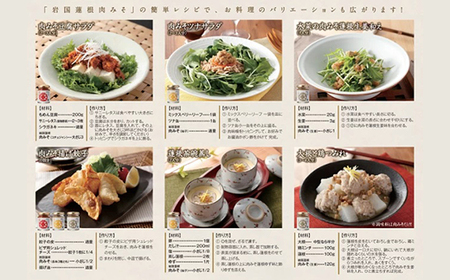 岩国蓮根 肉みそ 3種(コチュジャン・柚子・生姜)・和風だしカレー3箱 セット【池本食品】