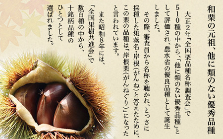 岩国がんね栗 栗のカケラ 70g 無添加 無着色【がんね栗の里】