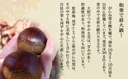 岩国がんね栗 栗のカケラ 70g 無添加 無着色【がんね栗の里】