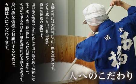 五橋 4種 飲み比べ 300ml ×4本【酒井酒造】