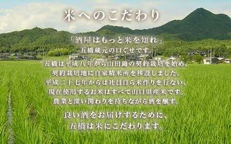 五橋 6種 飲み比べ 720ml ×6本【酒井酒造】