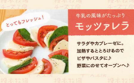 モッツァレラチーズ 500g (100g×5)【榎本牧場チーズ工房】
