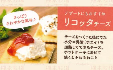 リコッタチーズ 500g (100g×5)【榎本牧場チーズ工房】