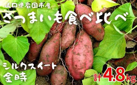 山口県岩国市産 さつまいも シルクスイート 金時 4.8kg 国産