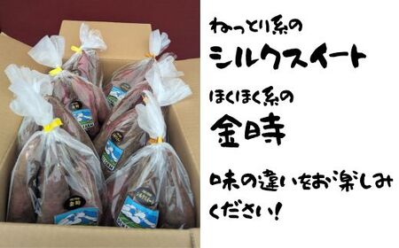 山口県岩国市産 さつまいも シルクスイート 金時 4.8kg 国産