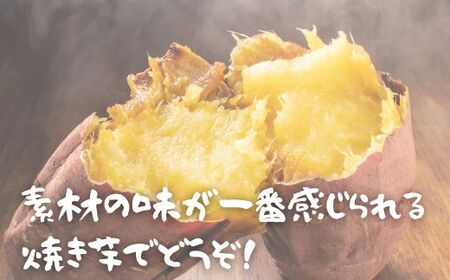 山口県岩国市産 さつまいも シルクスイート 金時 4.8kg 国産