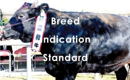 山口県産 高森和牛 肩ローススライス 800g【ミコー食品】