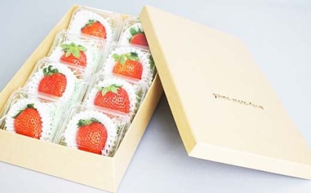 山口県岩国産「いちご」個包装 8個入り