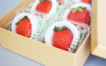 山口県岩国産「いちご」個包装 8個入り