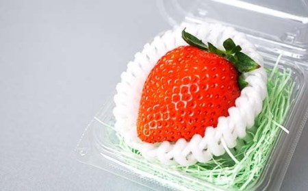 山口県岩国産「いちご」個包装 8個入り