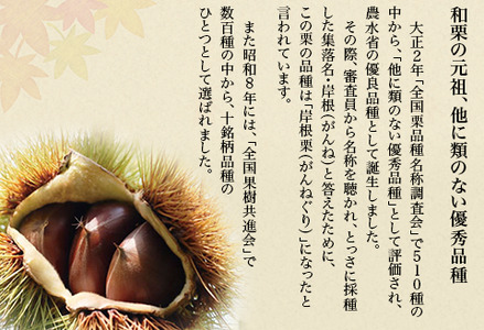 岩国がんね栗「輝 -ki- 」（パウンドケーキ520g）【がんね栗の里】