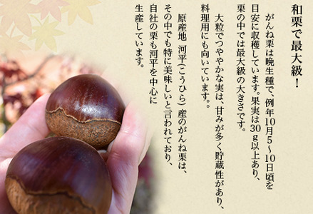 岩国がんね栗「輝 -ki- 」（パウンドケーキ520g）【がんね栗の里】