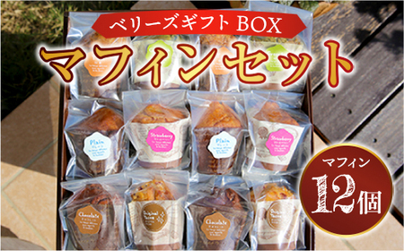 E003 ベリーズギフトBOX マフィンセット 12個 詰め合わせ